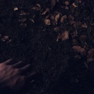 欧美老妇免费性爱视频
